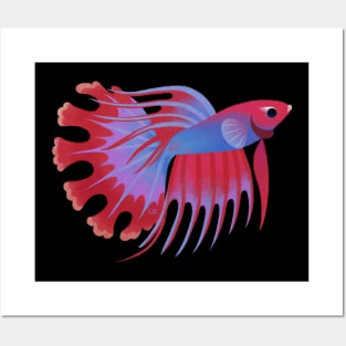 Crowntail betta Posters and Art